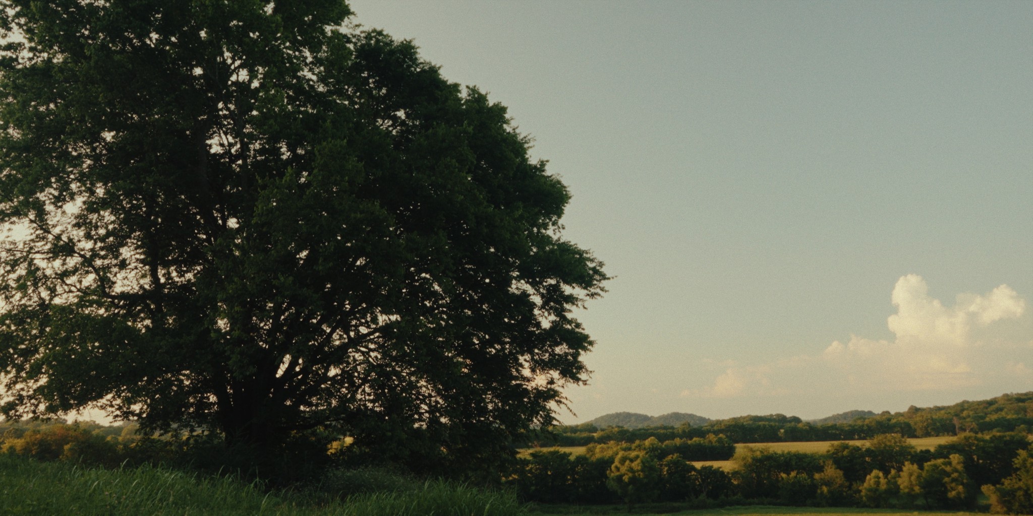1914 Thompson's Station Road West Thompson's Station, TN 37179 - Photo 5 of 21 a view of lake