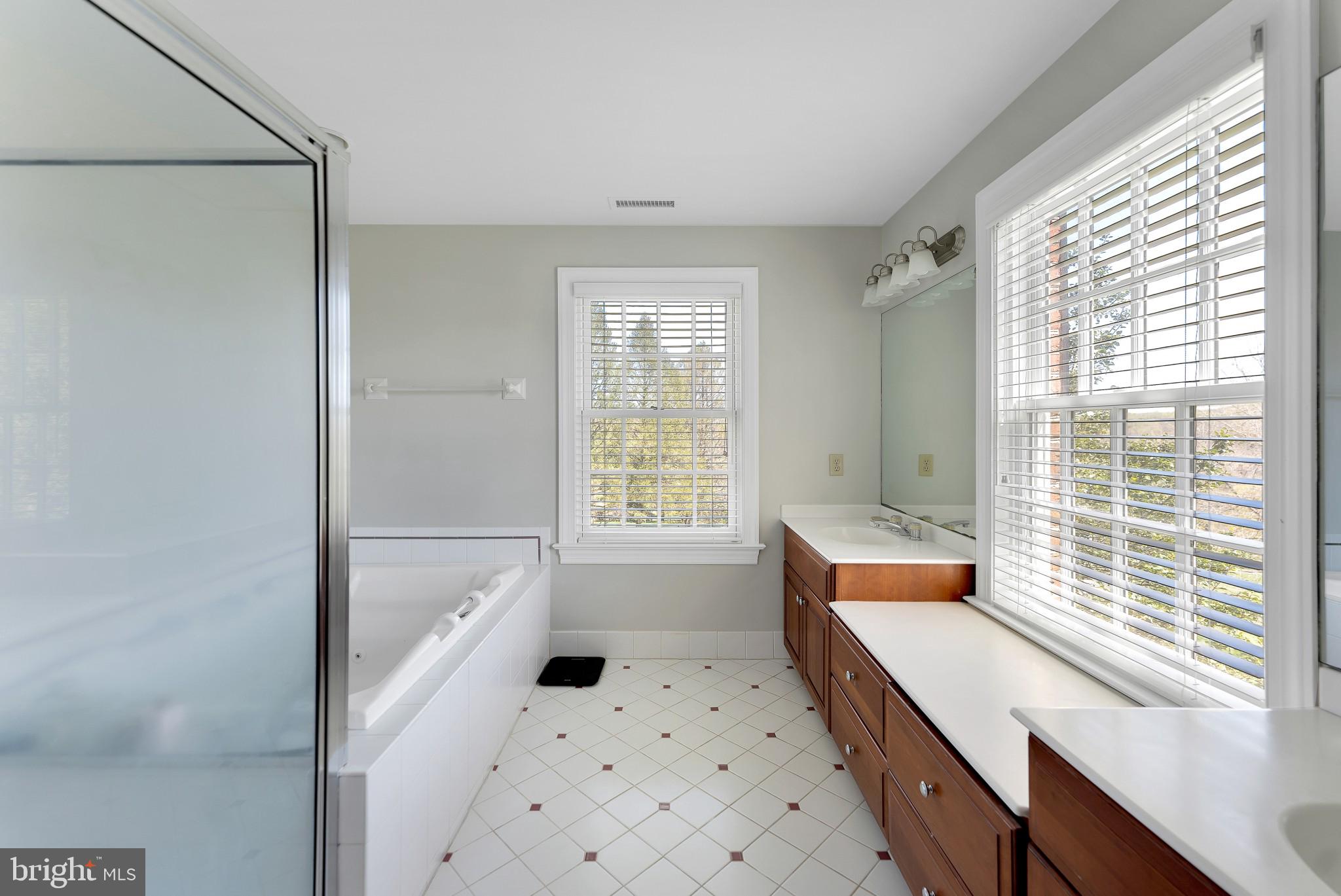 1542 Yellow Springs Road Chester Springs, PA 19425 - Photo 17 of 26 Master Bathroom