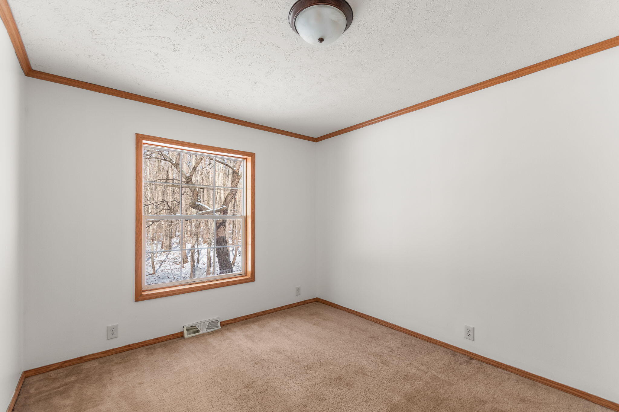 10641 Coopersfield Road Chelsea, MI 48118 - Photo 20 of 28 -9
