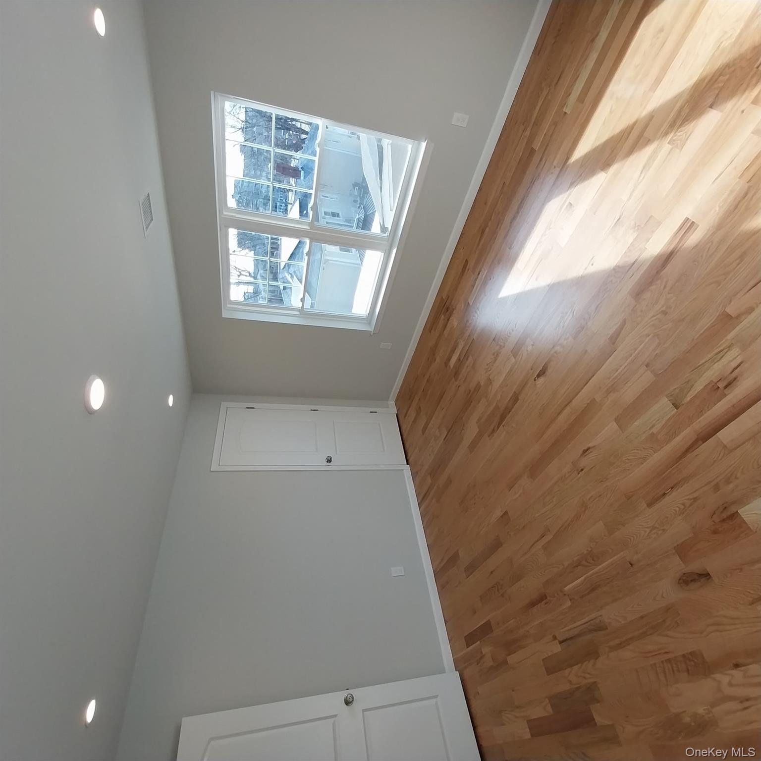 343 Jackson Street, Unit 3 Hempstead, NY 11550 - Photo 22 of 23 an empty room with wooden floor and windows