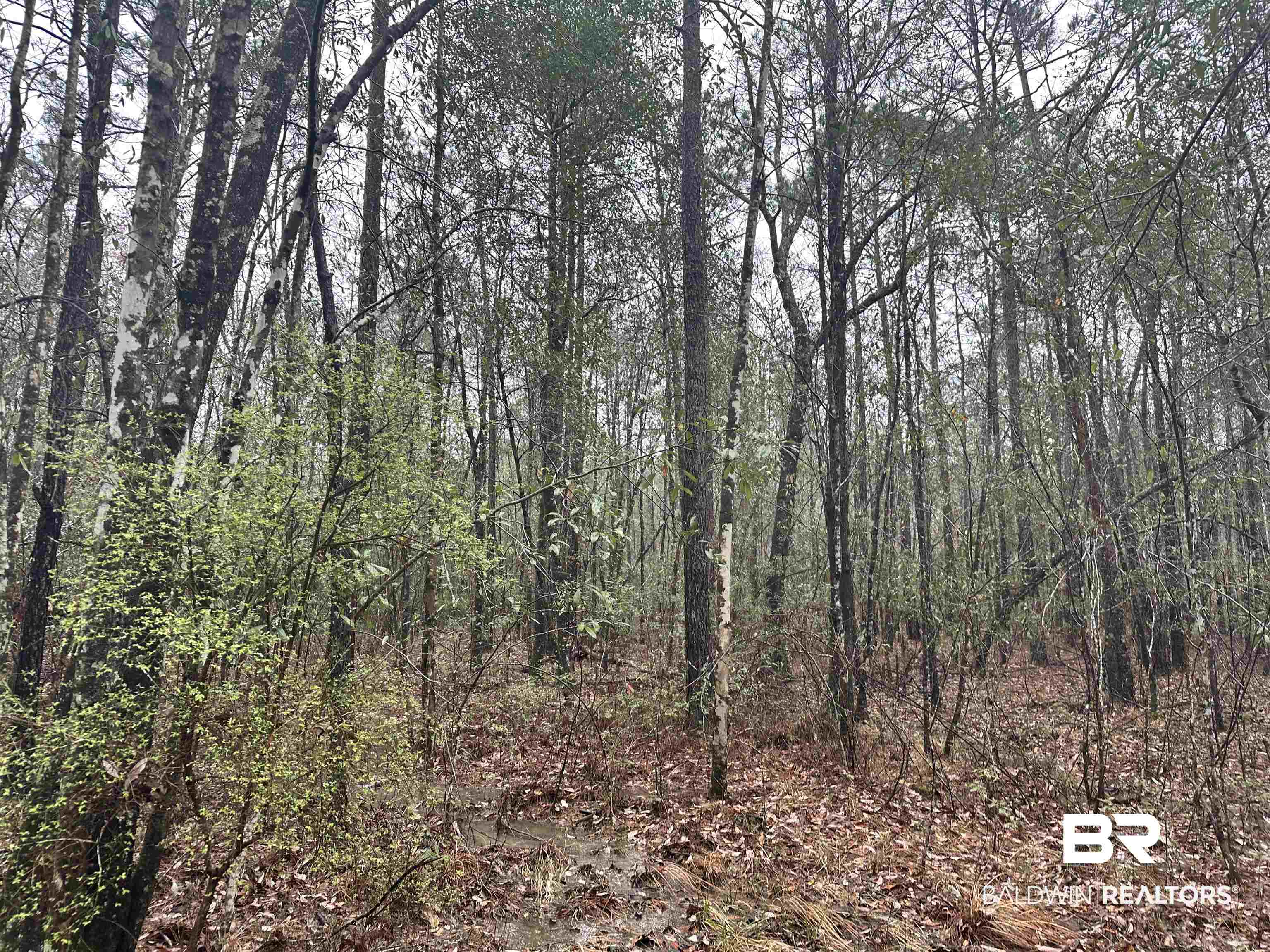 4549 J D Howard Road Tibbie, AL 36583 - Photo 23 of 33