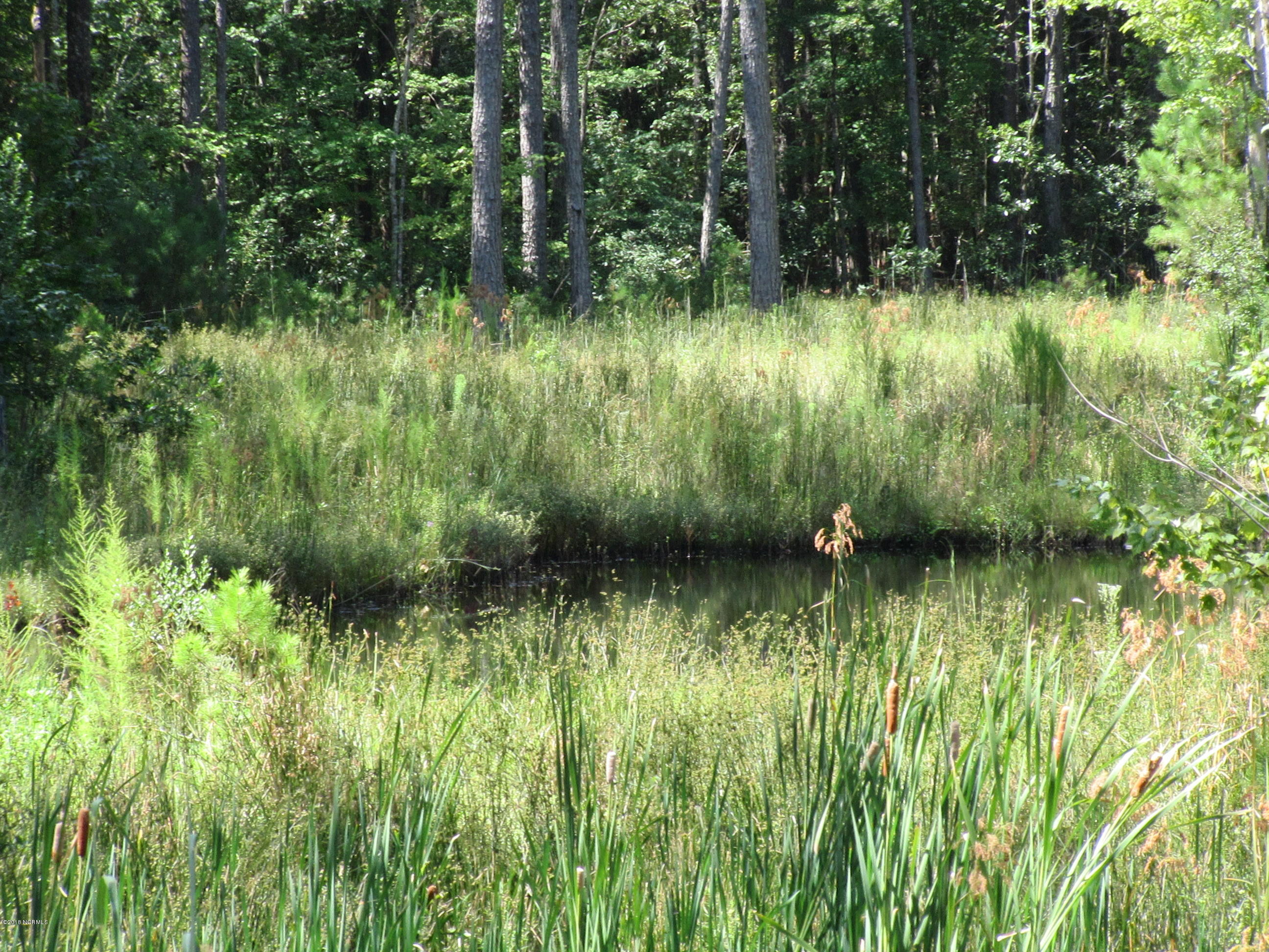 327 Bay Shores Road Merritt, NC 28556 - Photo 33 of 42 Pond