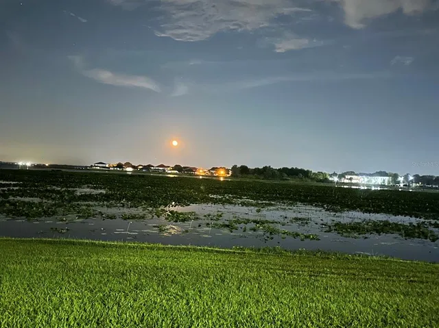 a view of a town with residential houses