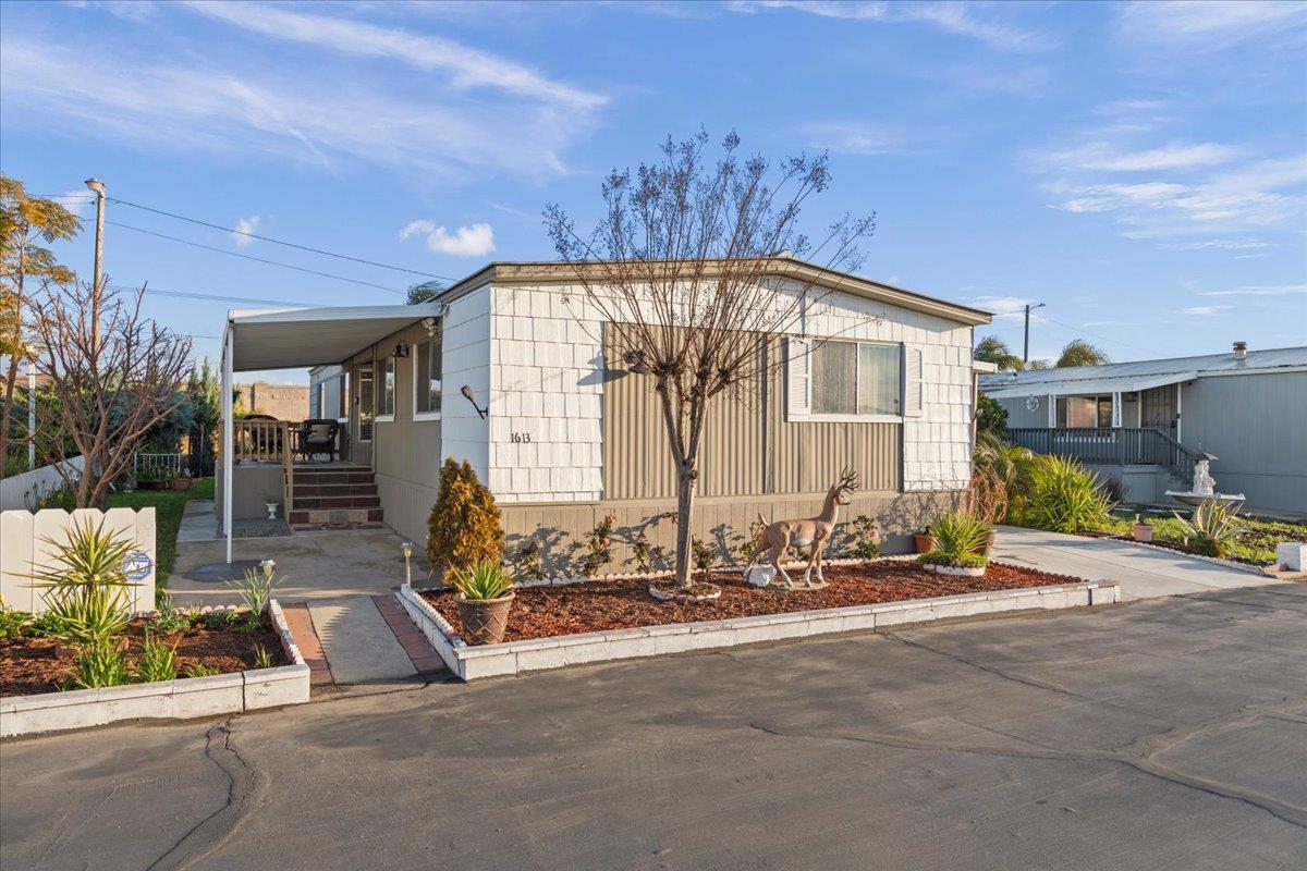 a view of backyard with wheel chair and potted plants
