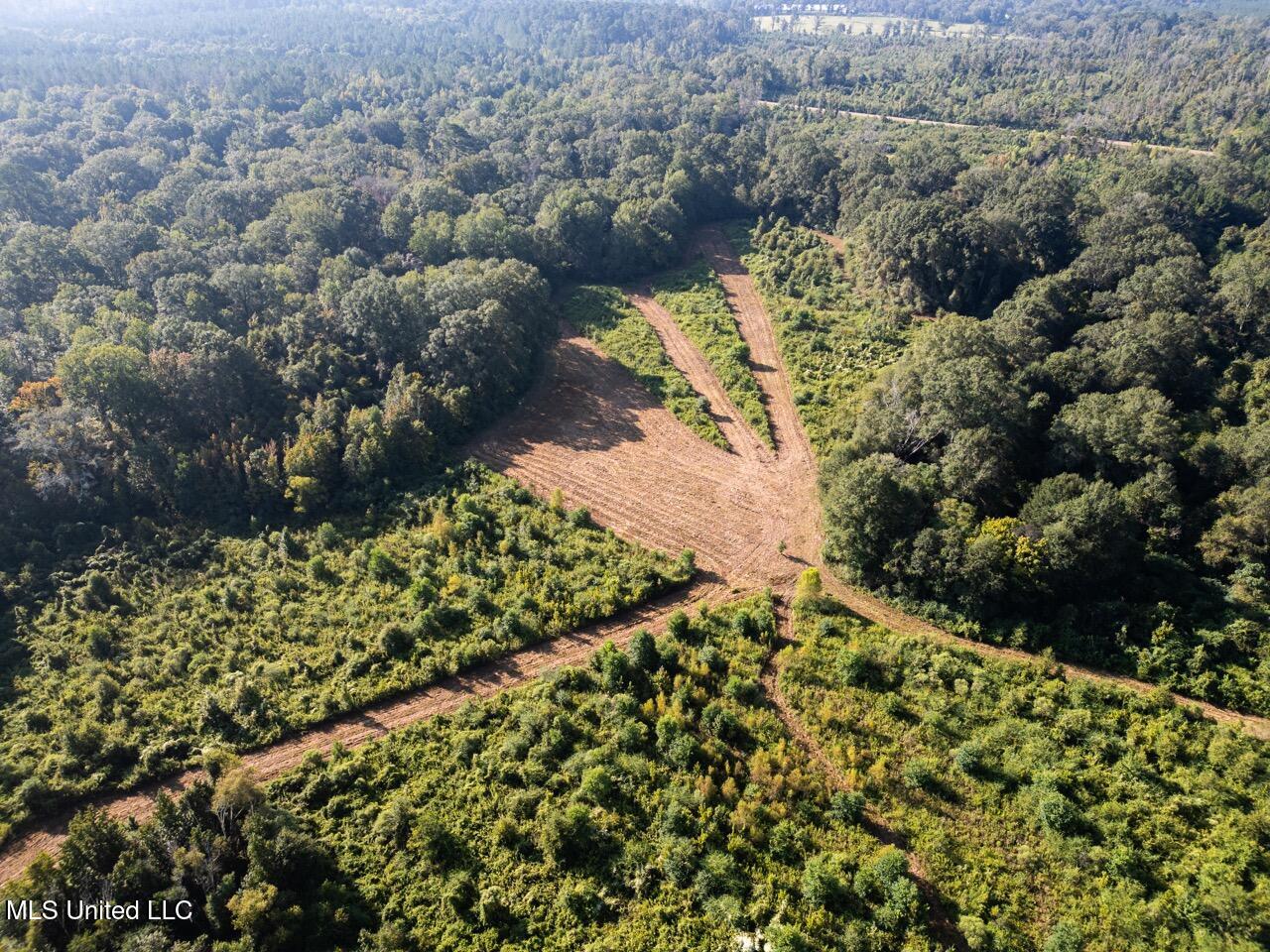 5073 Rollinson Road Smithdale, MS 39664 - Photo 8 of 46 DJI_0563 Large