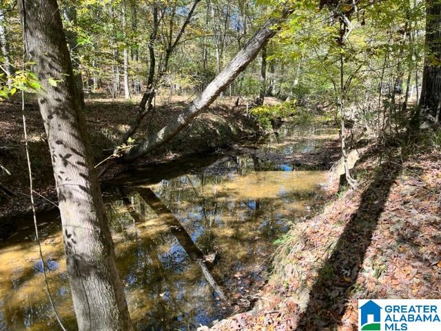 105 Kings Crest Lane Pelham, AL 35124 - Photo 4 of 26