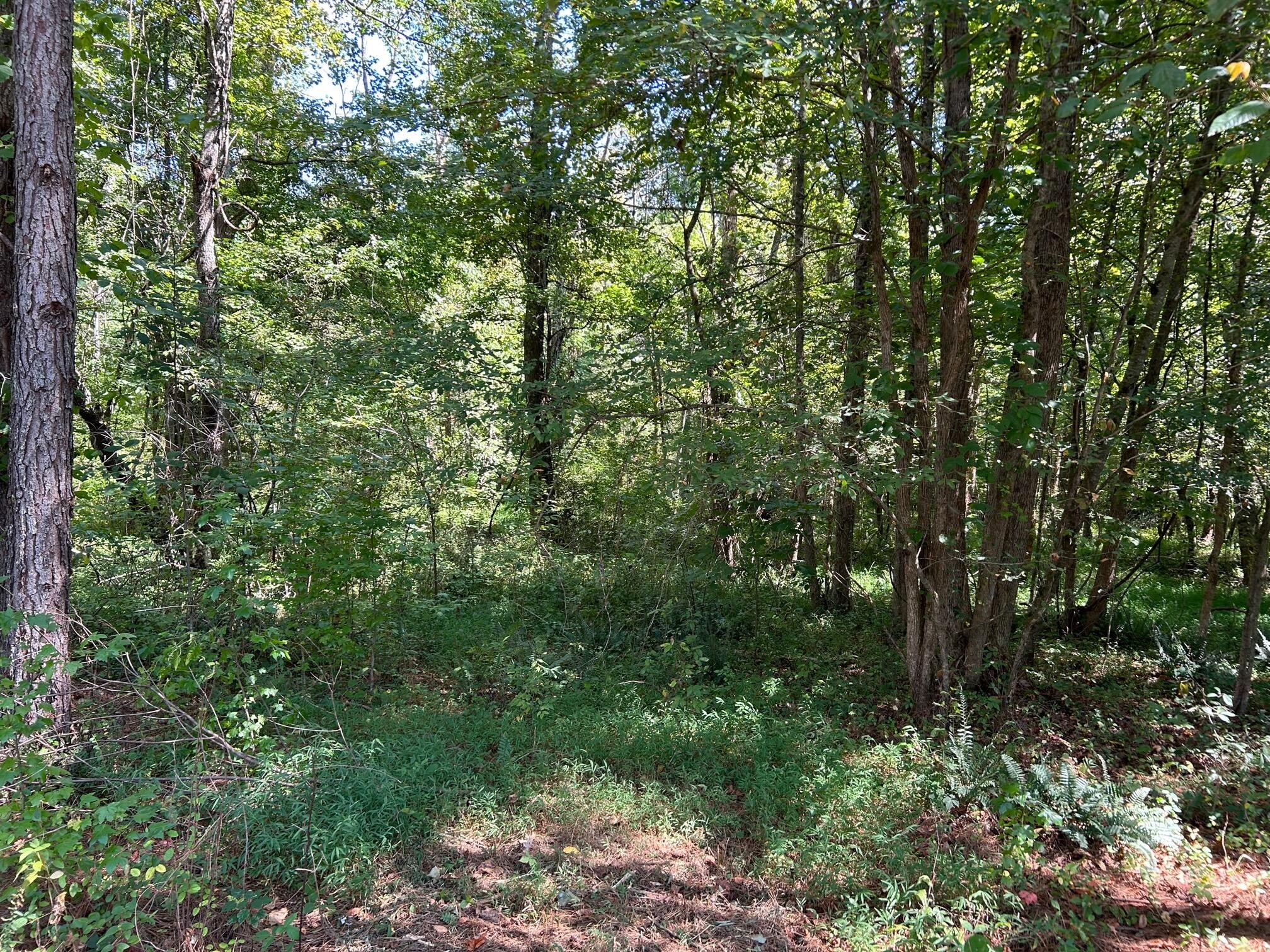 684 Cuno Lane Decatur, TN 37322 - Photo 19 of 25