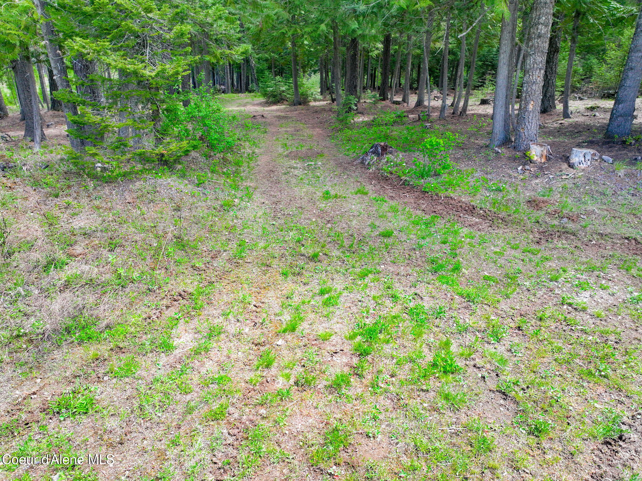 629 Flat Creek Road St. Maries, ID 83861 - Photo 61 of 77 10-web-or-mls-Aerial-Drone-2