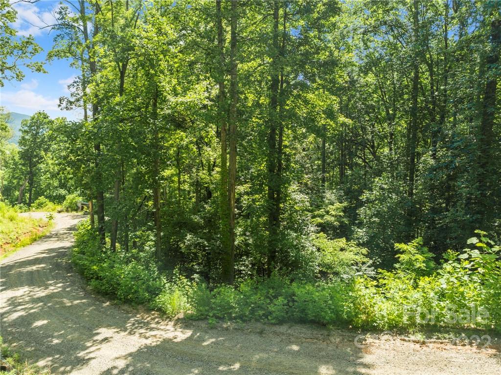 495 Lytle Cove Road Swannanoa, NC 28778 - Photo 6 of 25 Gallery Image 6