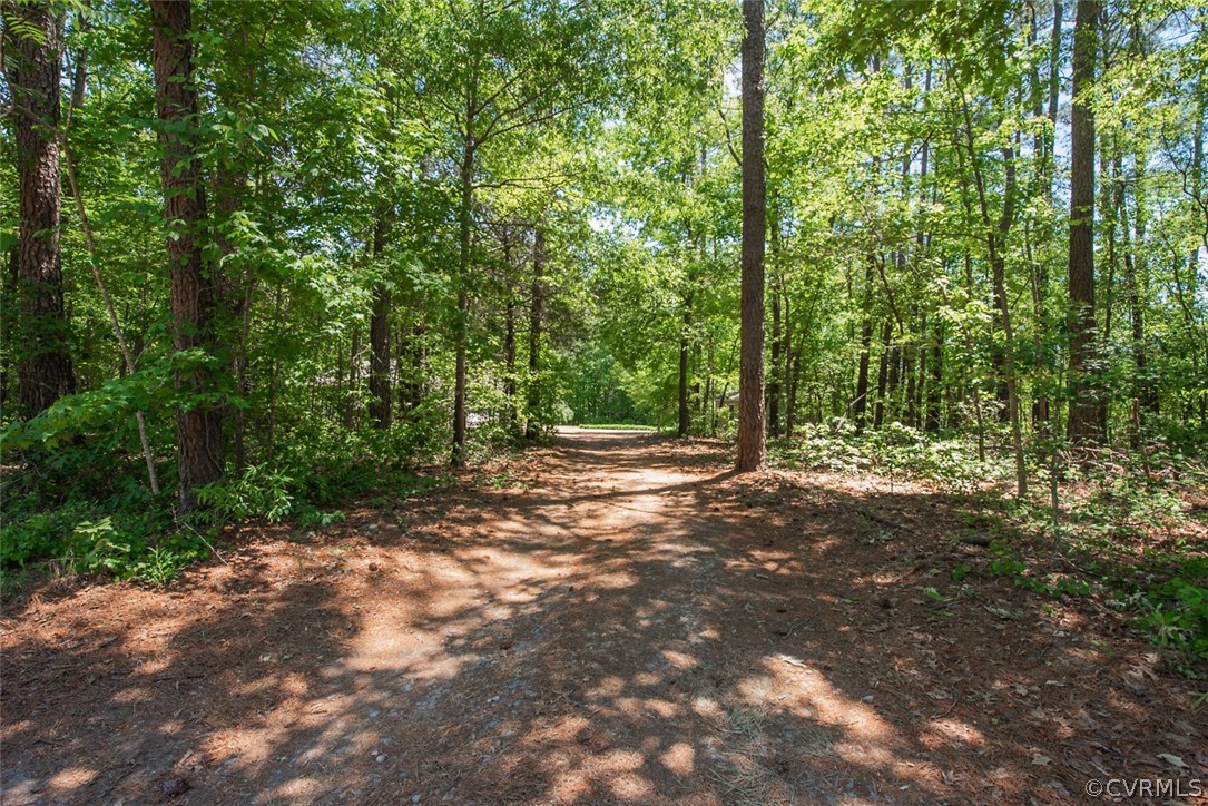 21417 Courthouse Road Dinwiddie, VA 23841 - Photo 50 of 50 a view of outdoor space and yard