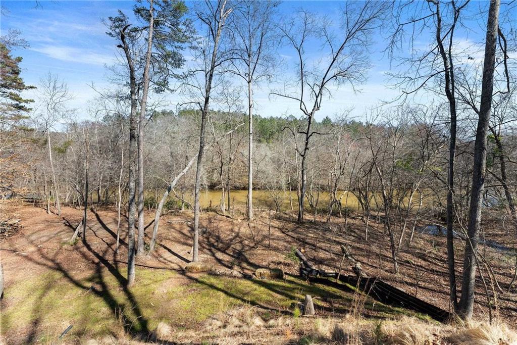 434 Riverbend Lane Bogart, GA 30622 - Photo 36 of 62 a view of a yard with large trees