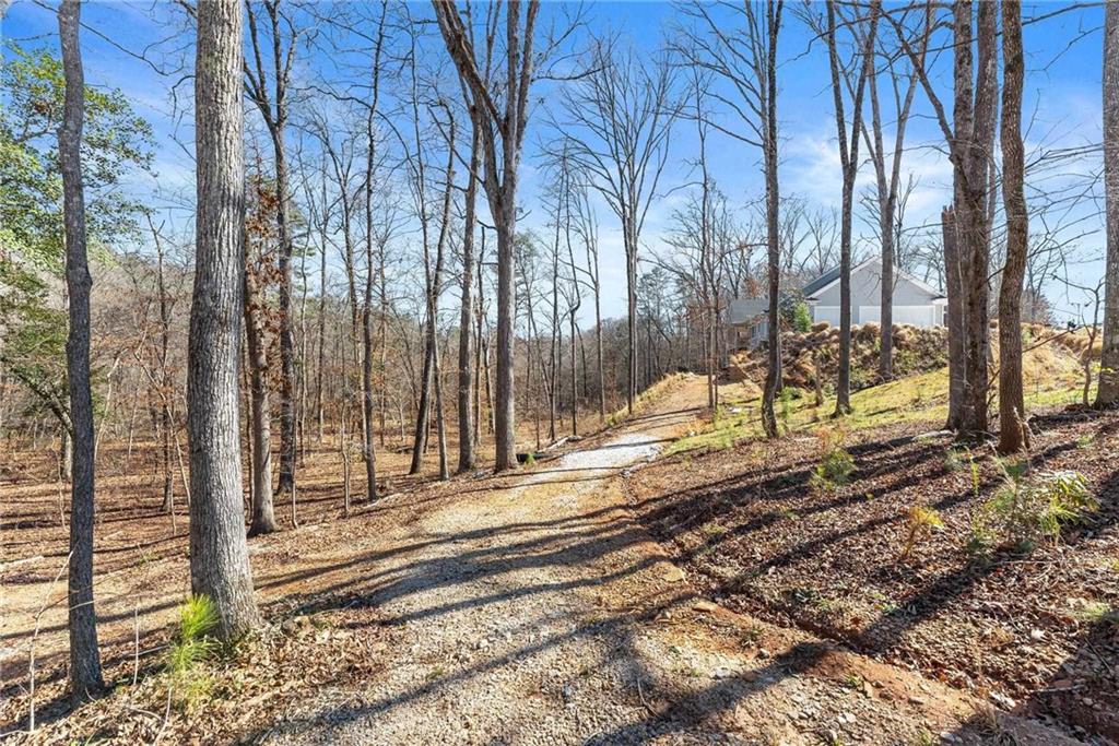 434 Riverbend Lane Bogart, GA 30622 - Photo 38 of 62 a view of a backyard of a house