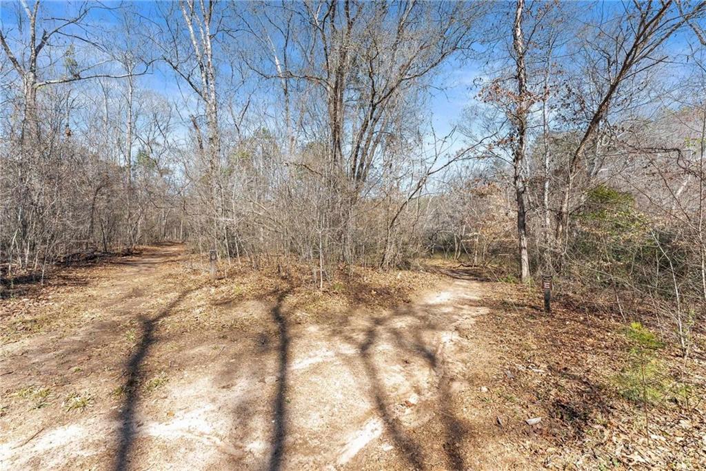 434 Riverbend Lane Bogart, GA 30622 - Photo 40 of 62