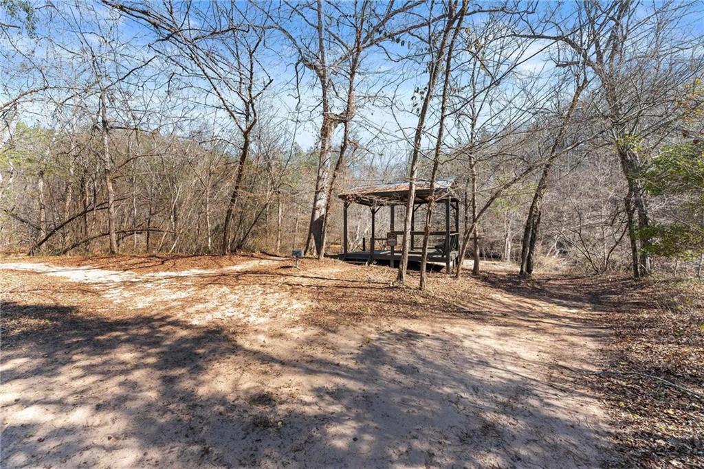 434 Riverbend Lane Bogart, GA 30622 - Photo 41 of 62 a view of large space with large trees