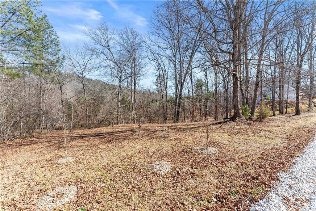 434 Riverbend Lane Bogart, GA 30622 - Photo 43 of 62 a view of a yard with trees