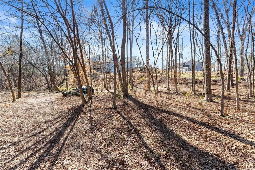 434 Riverbend Lane Bogart, GA 30622 - Photo 44 of 62 a view of a backyard of the house