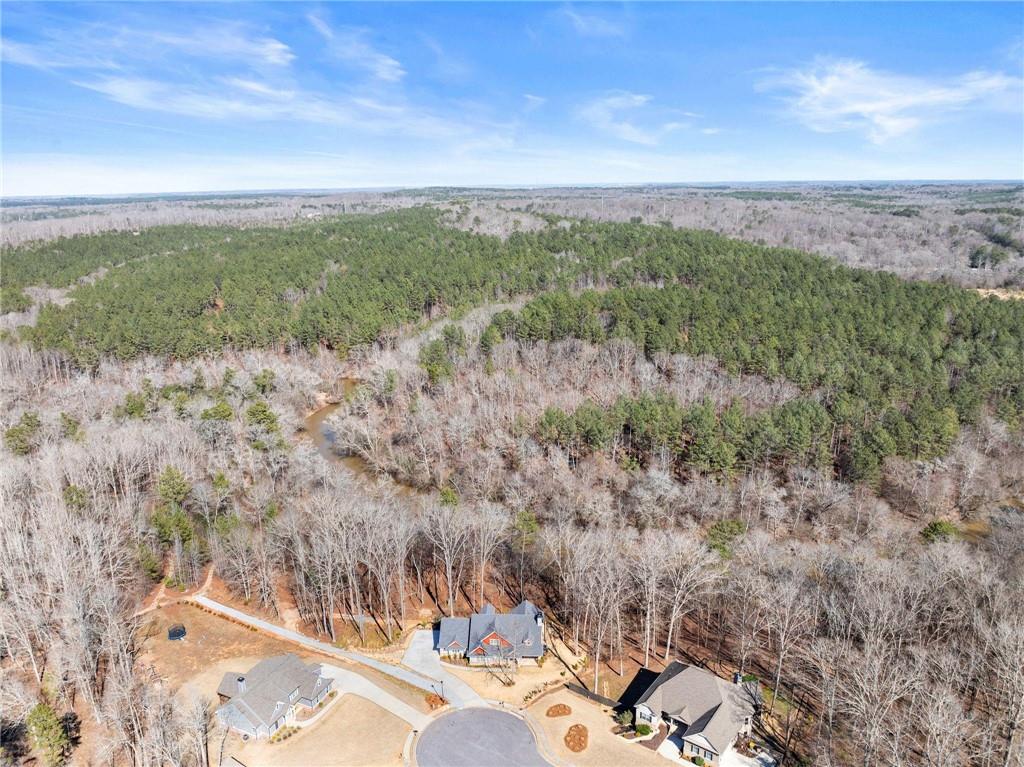 434 Riverbend Lane Bogart, GA 30622 - Photo 47 of 62 a view of a yard with an outdoor seating