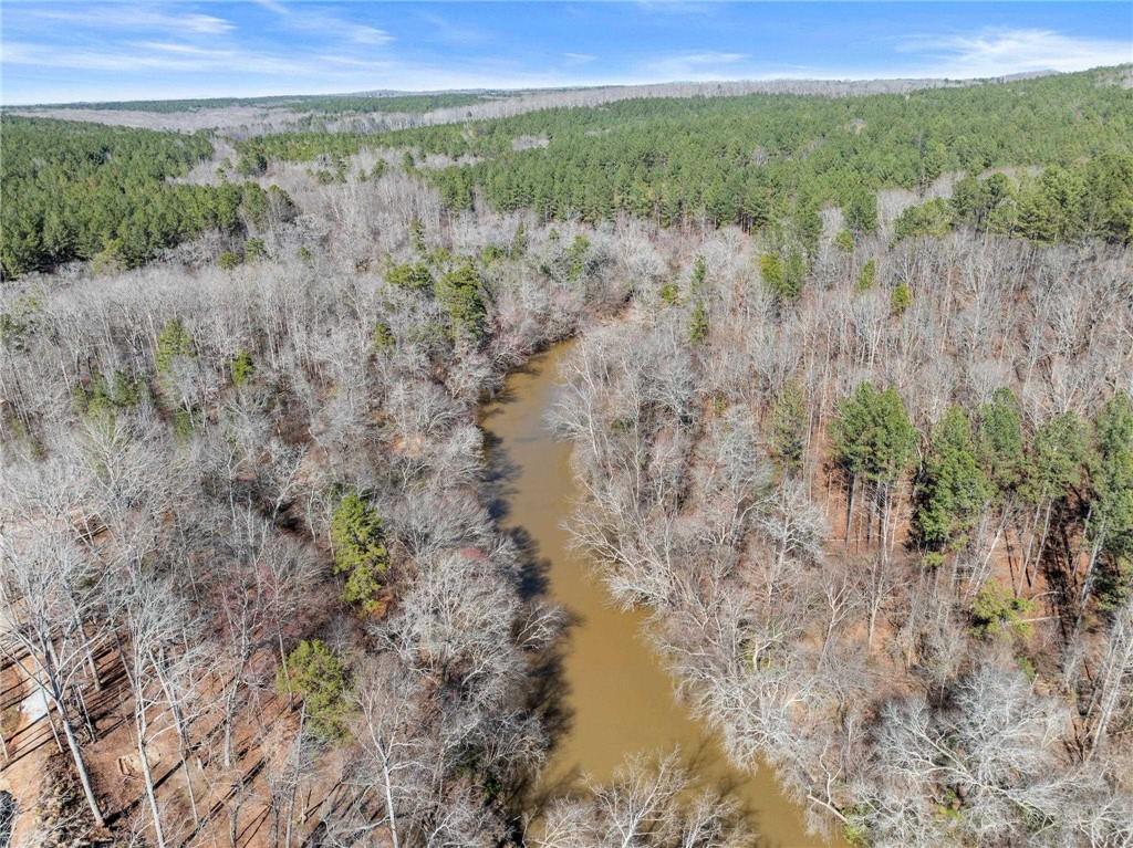 434 Riverbend Lane Bogart, GA 30622 - Photo 52 of 62 a view of a forest with a lush green forest