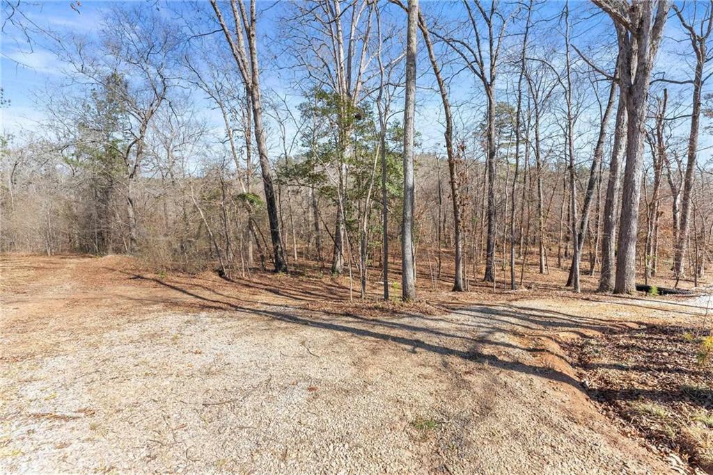 434 Riverbend Lane Bogart, GA 30622 - Photo 53 of 62 a view of a backyard of the house