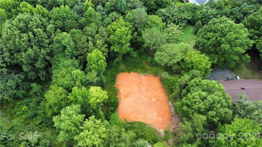 an aerial view of a trees all around