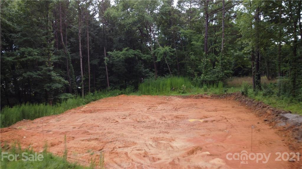 3305 Dion Drive Matthews, NC 28105 - Photo 2 of 3 a view of a yard with plants and a large tree