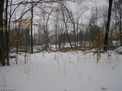 3807 Cook Road Rootstown, OH 44272 - Photo 14 of 15 Gallery Image 14