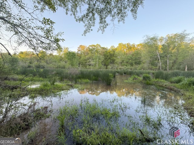 0 Moore Road Elberton, GA 30635 - Photo 46 of 67