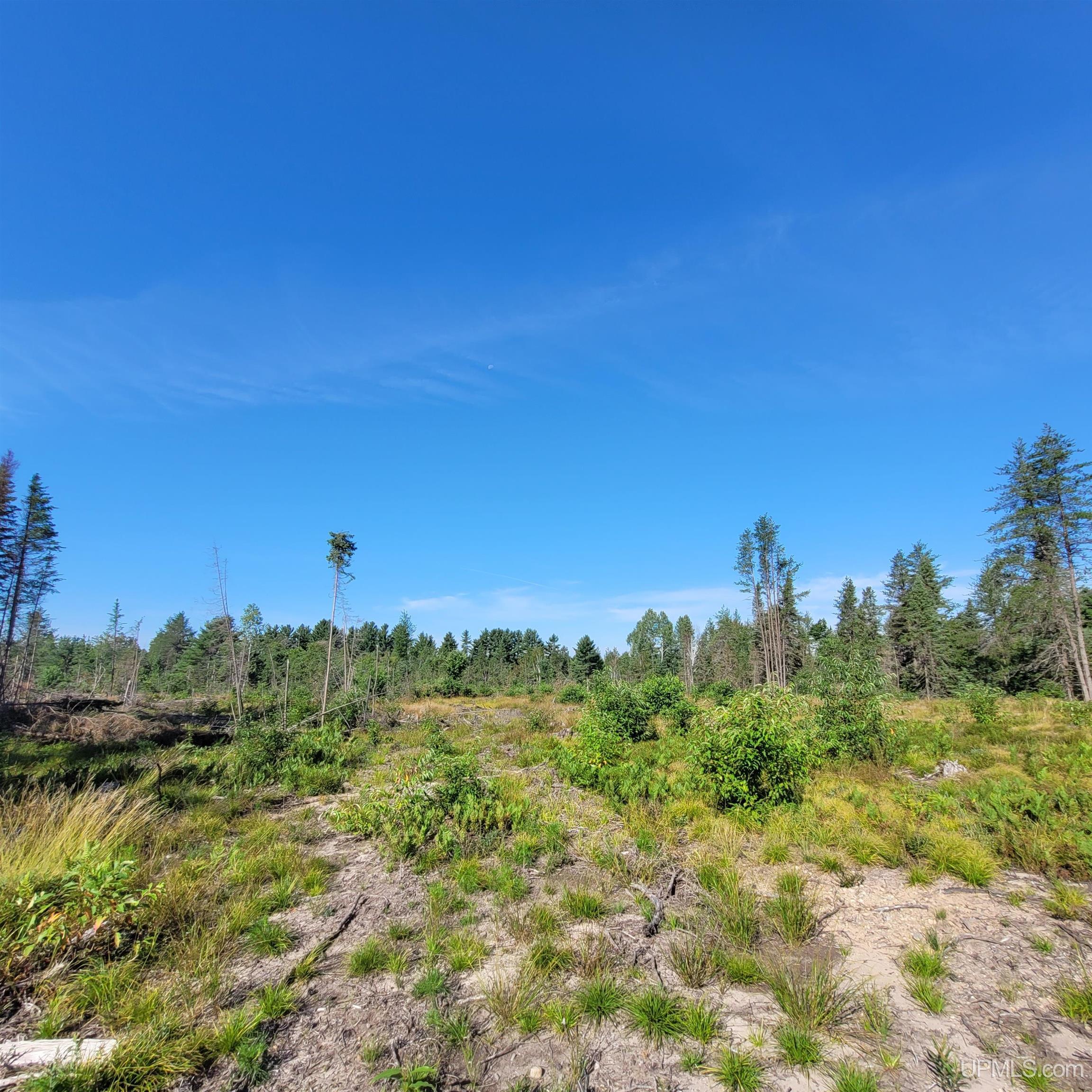 76 Acres Road Gwinn, MI 49841 - Photo 13 of 64