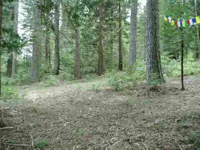 Lot #1 Audubon Road Mount Shasta, CA 96067 - Photo 5 of 5 Gallery Image 5