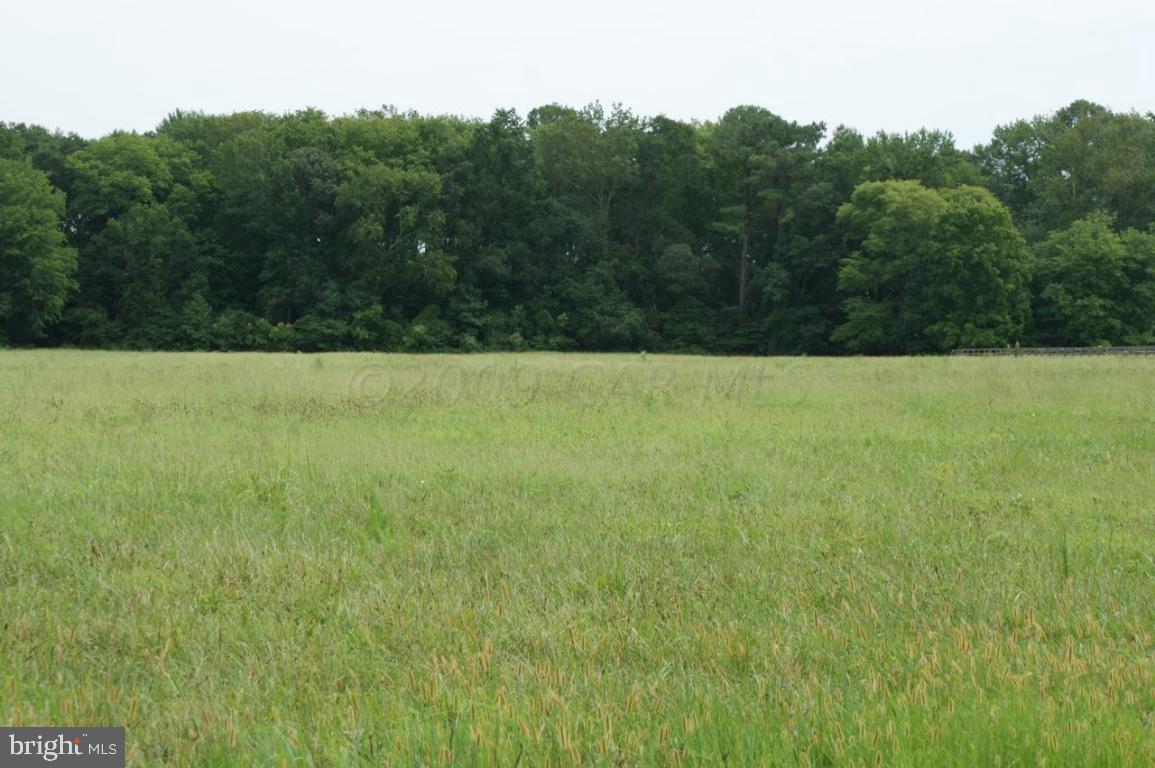 0 Jarvis Road Bishopville, MD 21813 - Photo 2 of 5 Gallery Image 2