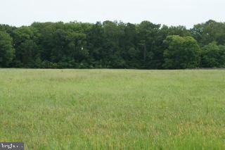 0 Jarvis Road Bishopville, MD 21813 - Photo 5 of 5 Gallery Image 5