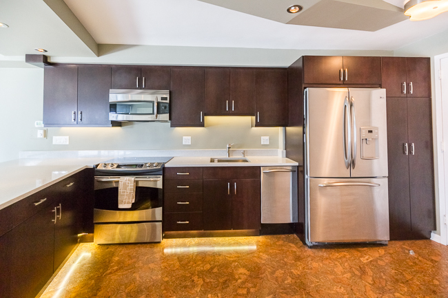 300 North State Street, Unit 3135 Chicago, IL 60654 - Photo 2 of 15