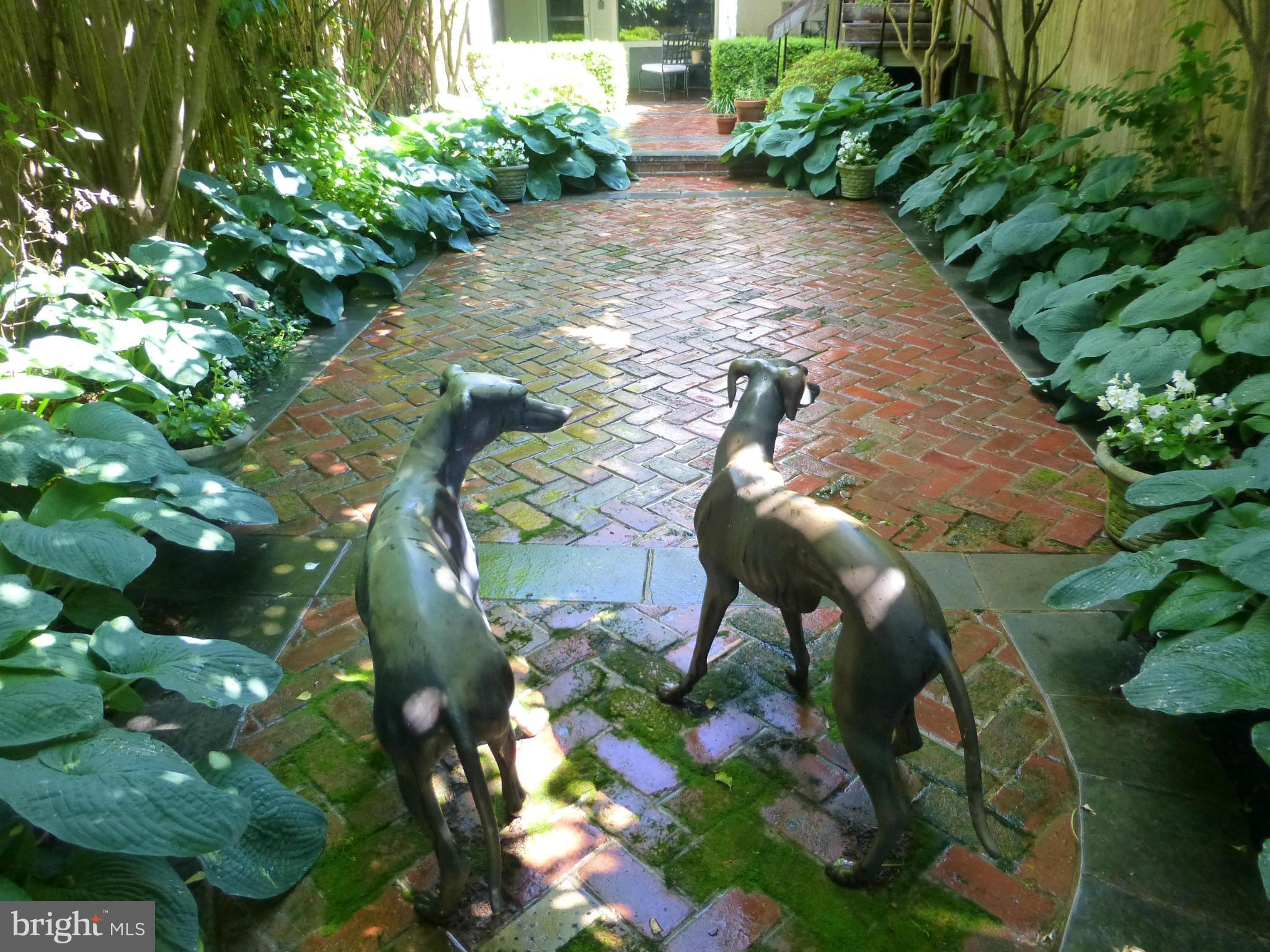 3040 Q Street Northwest Washington, DC 20007 - Photo 14 of 30 61' deep garden from fence line