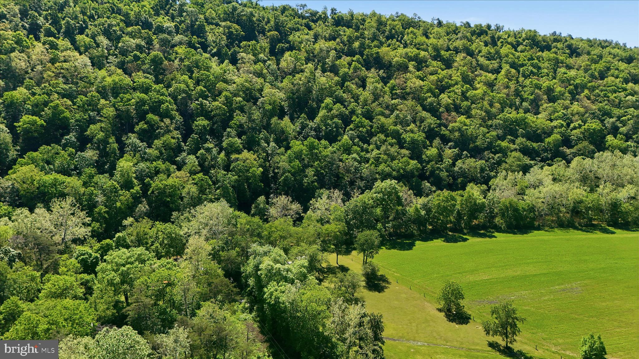 Patterson Creek Village Pike Ridgeley, WV 26753 - Photo 15 of 25