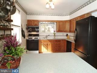 104 Golf Hills Road Havertown, PA 19083 - Photo 4 of 6