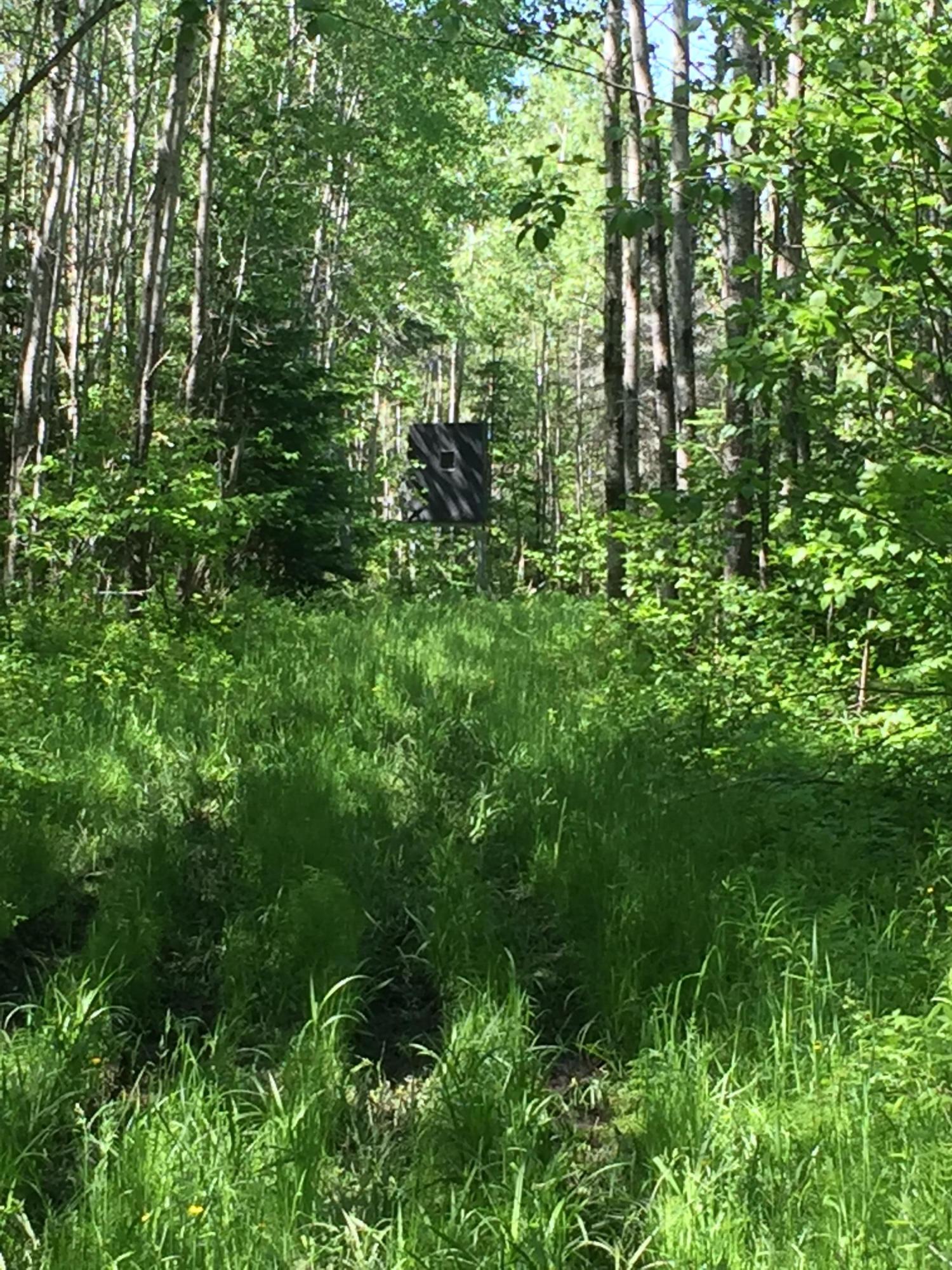 23 East 23 Mile Road Pickford, MI 49774 - Photo 14 of 19 Gallery Image 14