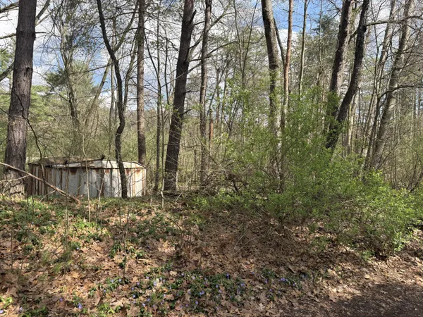 $33,500 | 8113 Poplar Drive, Reading, MI 49274