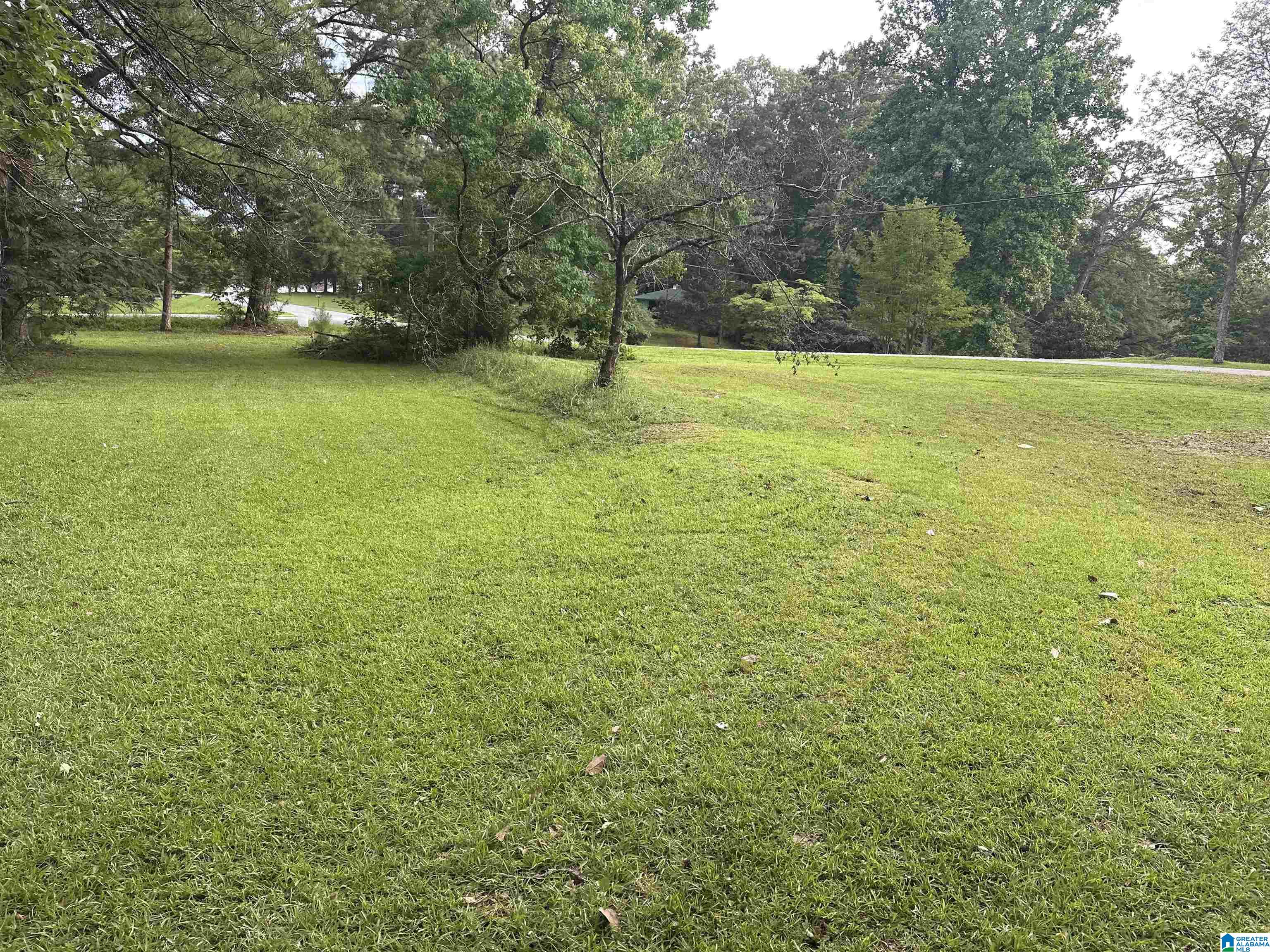 1988 County Road Alexander City, AL 35010 - Photo 8 of 26