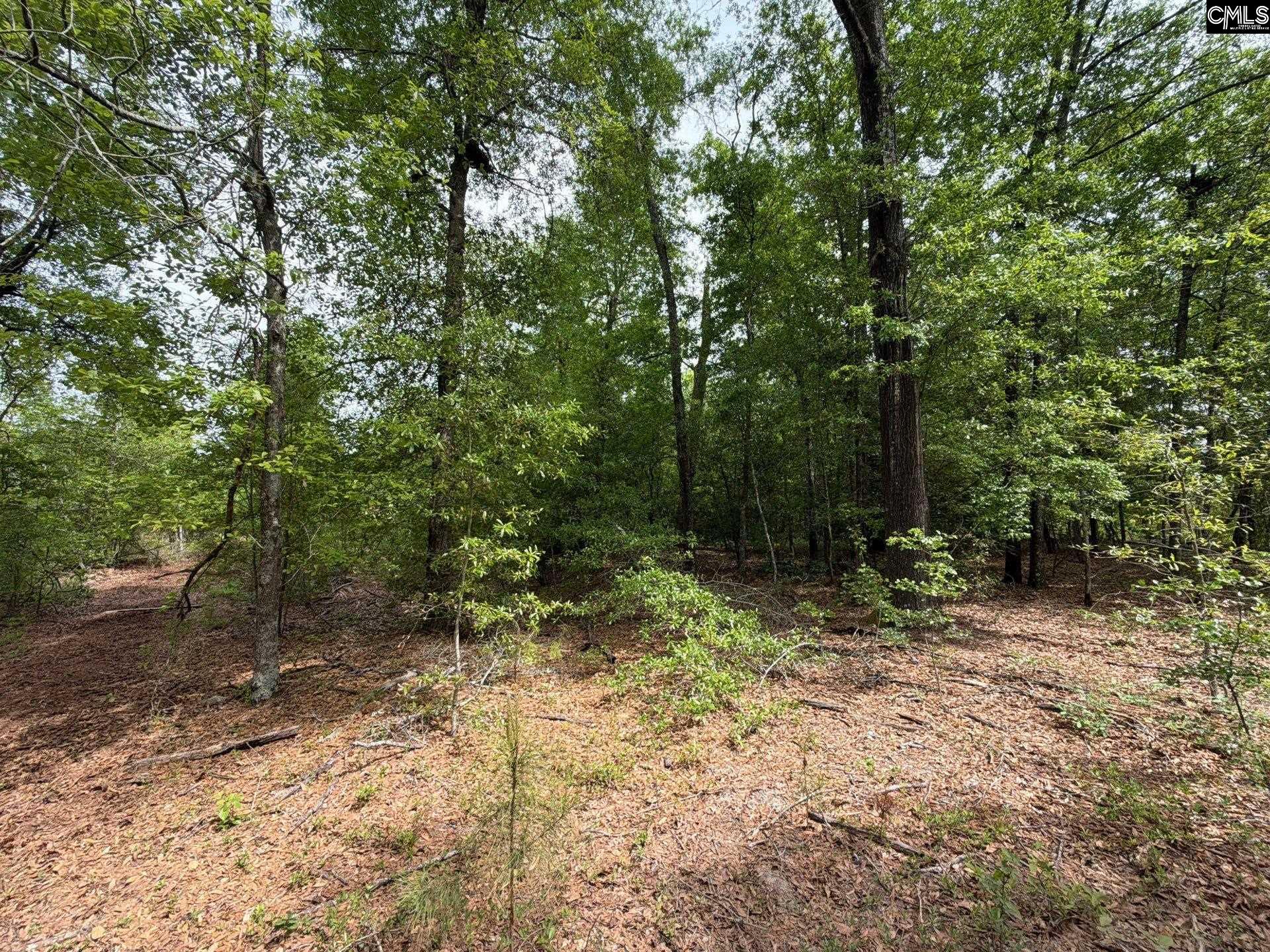 2 Rogers Cemetery Road Aiken, SC 29801 - Photo 23 of 26
