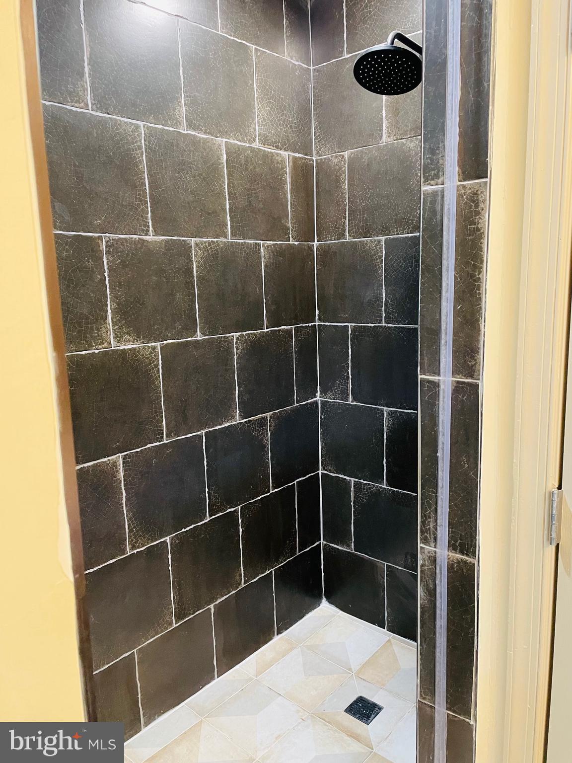 7408 Maury Road Windsor Mill, MD 21244 - Photo 23 of 44 Walk In Master Shower