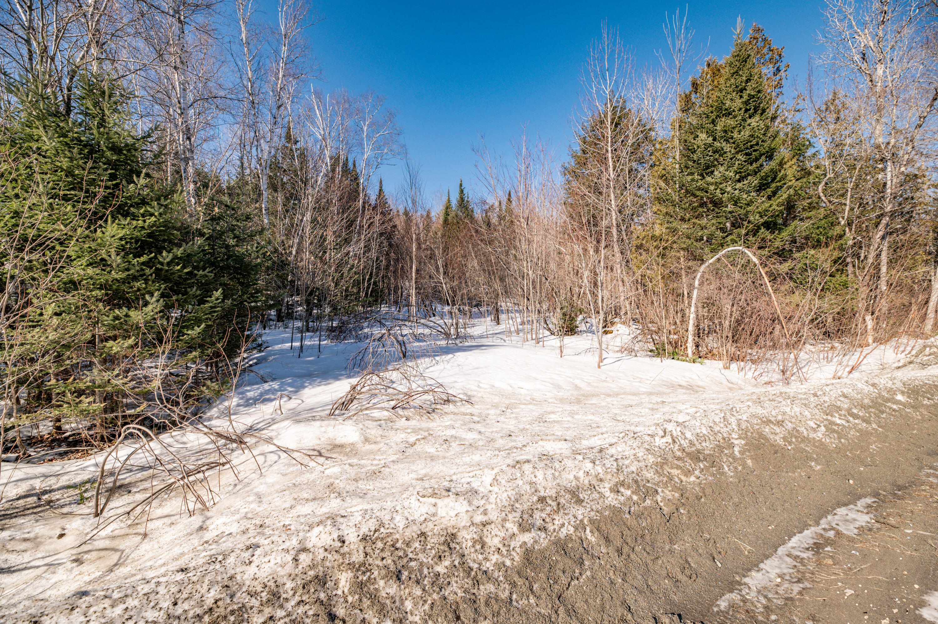 0 Molunkus Road Cornville, ME 04976 - Photo 5 of 12 1