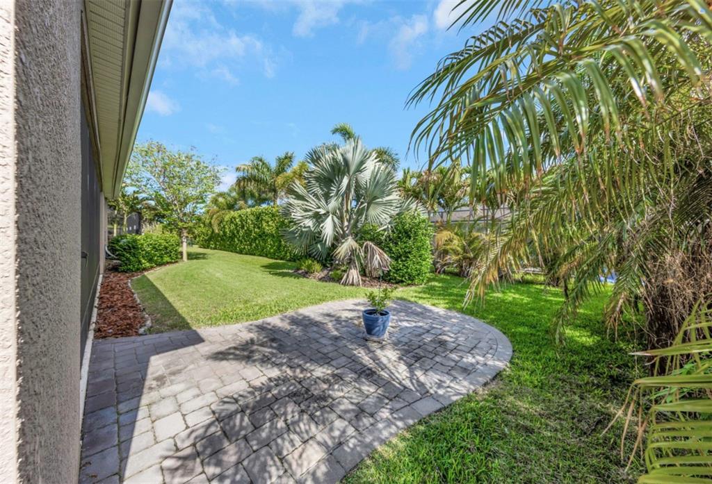 6916 Neopolitan Court Apollo Beach, FL 33572 - Photo 40 of 43 a view of a garden with a tree