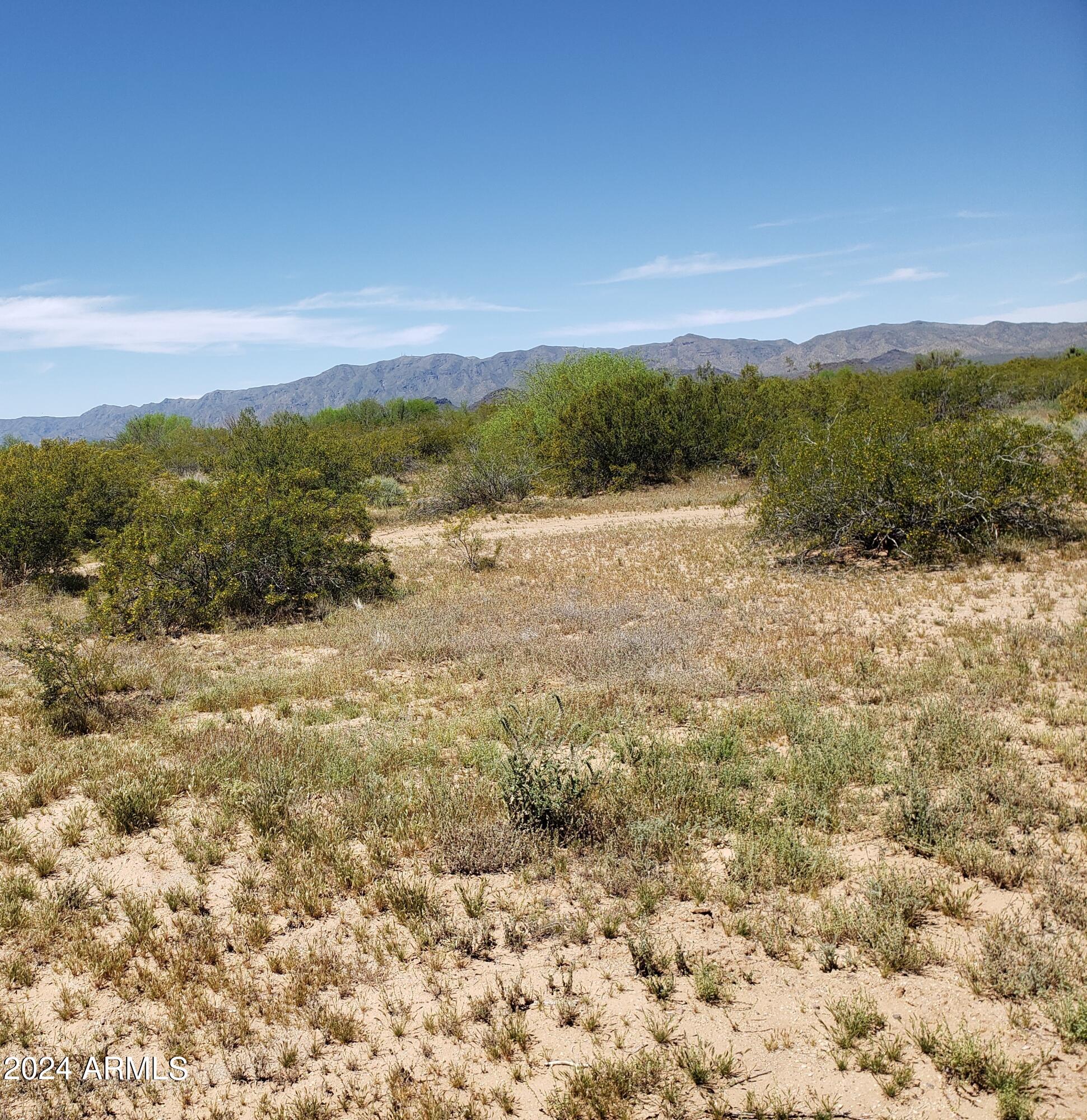 -xx Xx Trezler Road Aguila, AZ 85320 - Photo 4 of 4 SE of Property