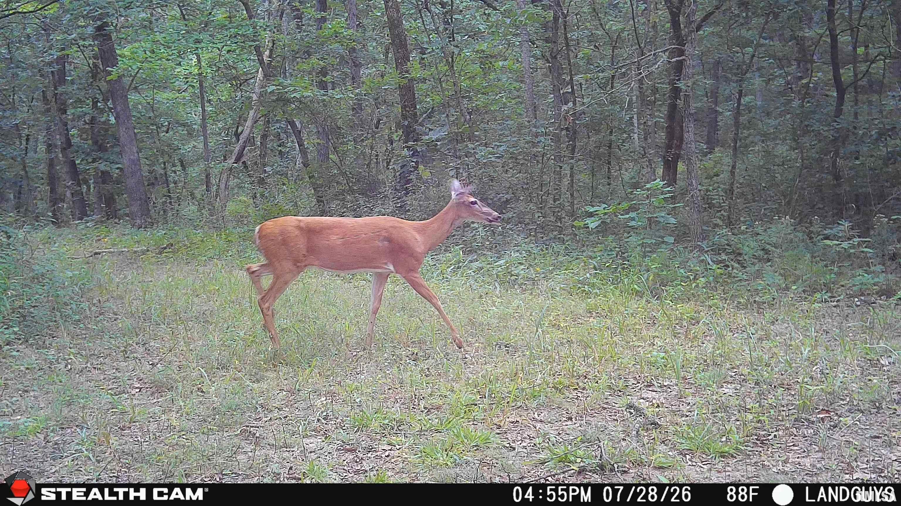 3002 Carr Road Red Bud, IL 62278 - Photo 78 of 79 Gallery Image 78