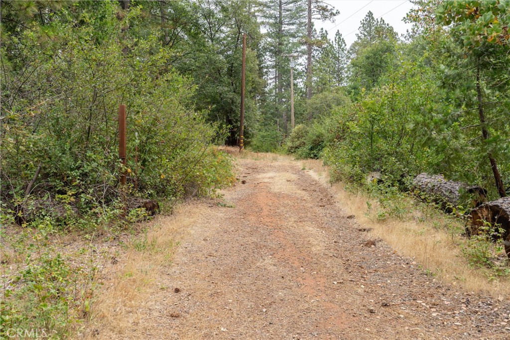 15184 Siwini Road Forest Ranch, CA 95942 - Photo 56 of 75
