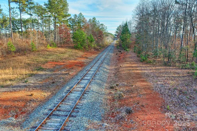 a view of a yard with large trees
