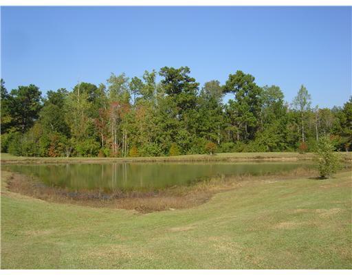 18031 Cedardale Road Saucier, MS 39574 - Photo 13 of 16 Additional Photo