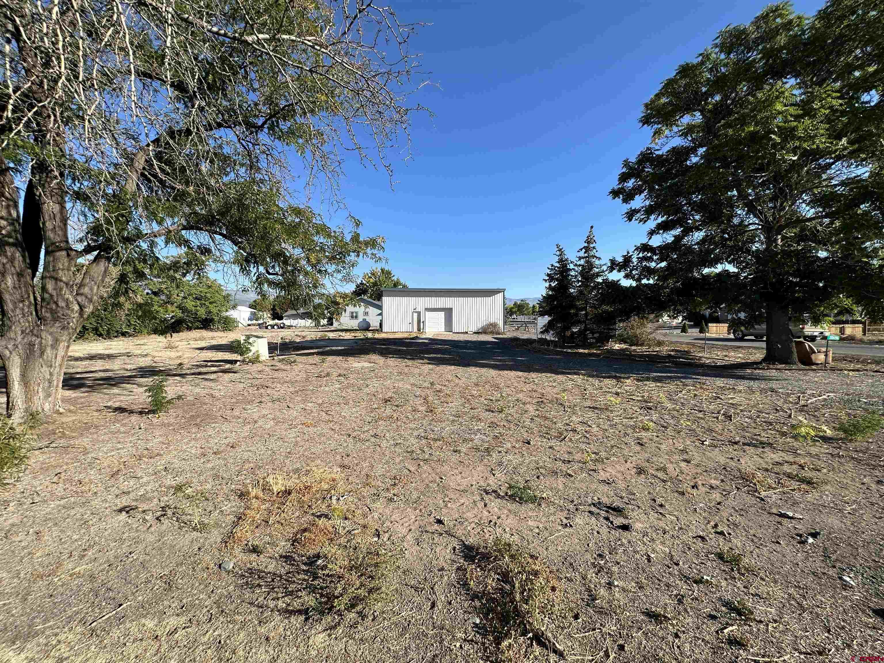 20696 Del Ray Drive Eckert, CO 81418 - Photo 6 of 8 a view of dirt yard with a large tree
