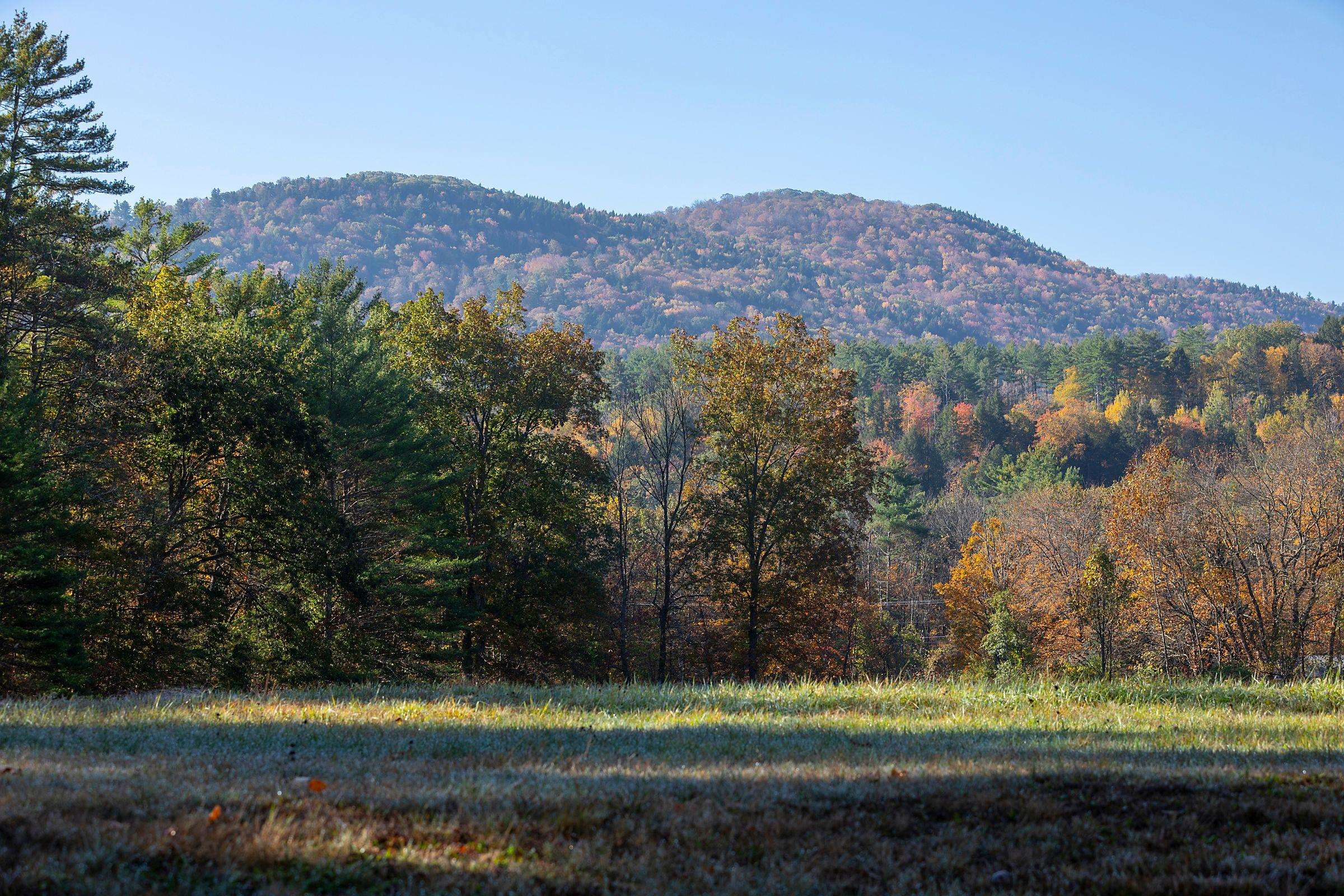 199 Turkey Mountain Road Jamaica, VT 05343 - Photo 37 of 59