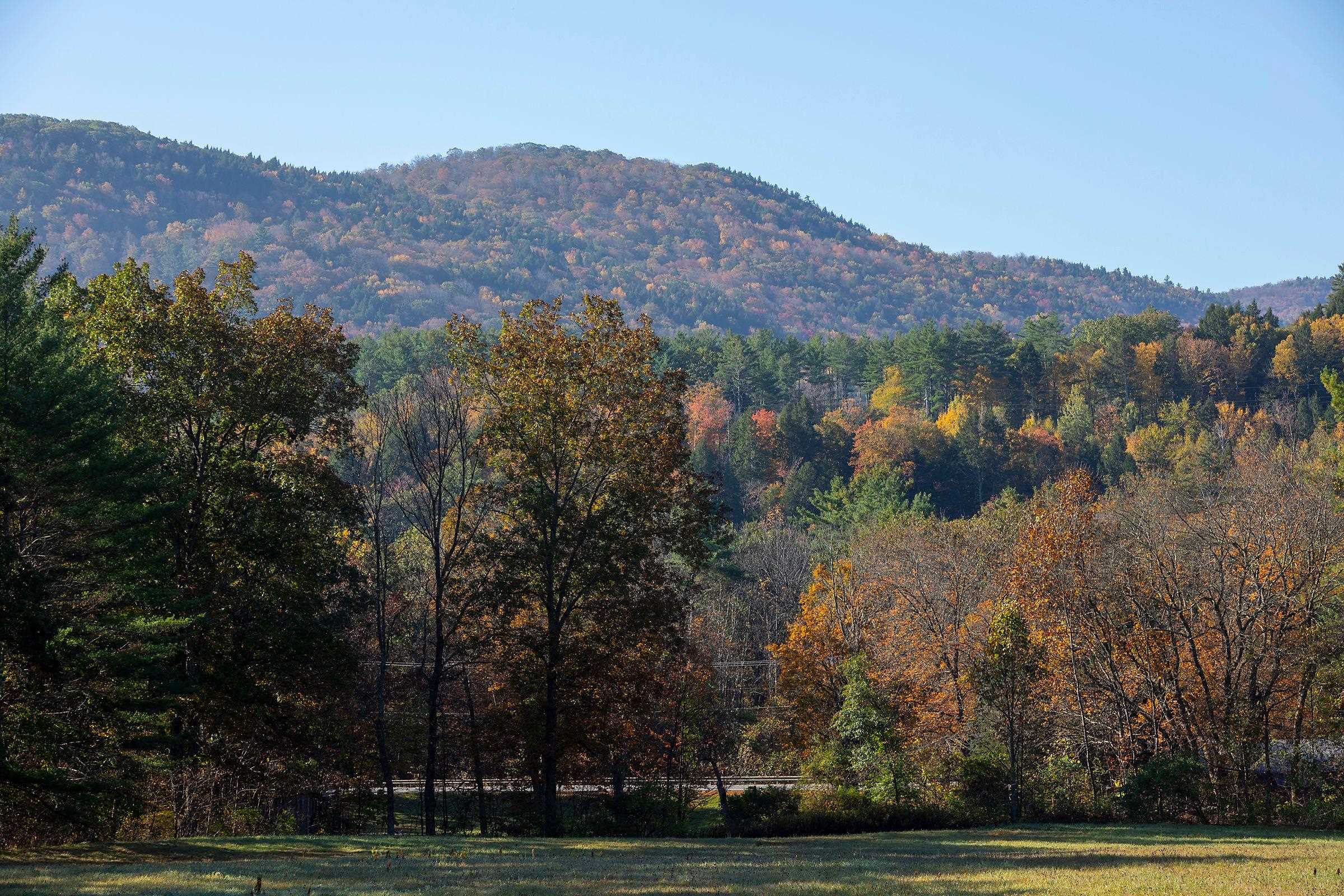 199 Turkey Mountain Road Jamaica, VT 05343 - Photo 49 of 59